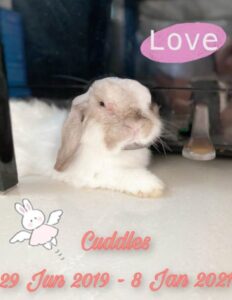 cuddles