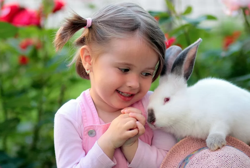 Why Rabbits Are Not Ideal Pets for Young Children